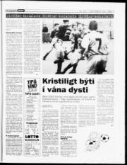 Síða 15