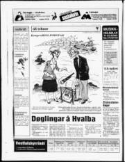 Síða 24