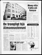 Síða 3
