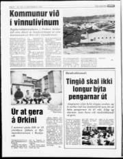 Síða 4