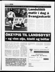 Síða 11