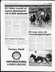 Síða 12