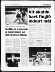 Síða 14