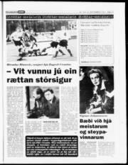 Síða 15