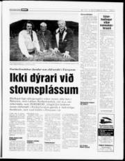 Síða 5
