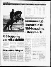 Síða 13
