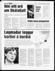 Síða 3