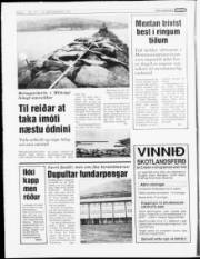 Síða 4