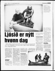 Síða 8