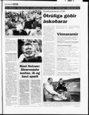 Síða 17