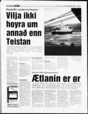 Síða 3