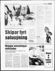 Síða 6