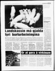 Síða 8