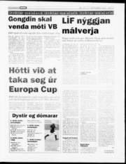 Síða 15