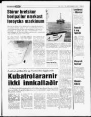 Síða 3