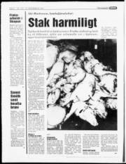 Síða 4