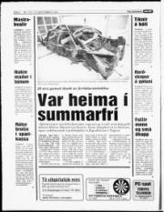 Síða 6