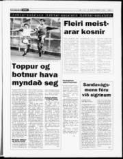 Síða 11