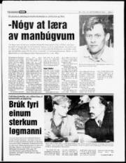 Síða 3