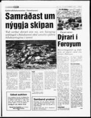 Síða 5
