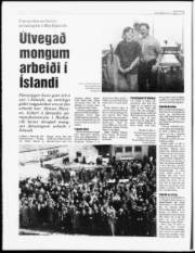 Síða 6