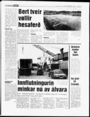 Síða 7