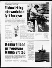 Síða 8