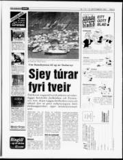 Síða 9