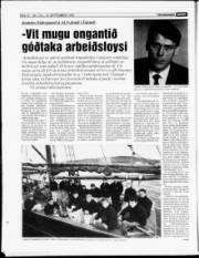 Síða 12