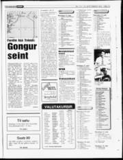 Síða 19