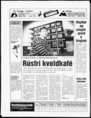 Síða 20
