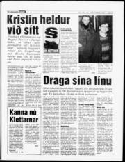 Síða 3