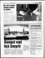 Síða 6