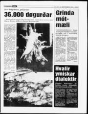 Síða 7
