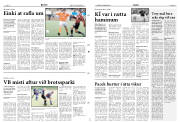 Síða 12