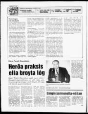 Síða 2