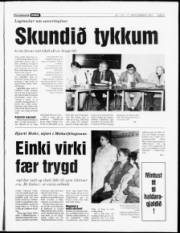 Síða 5