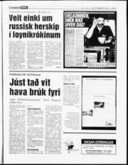 Síða 7