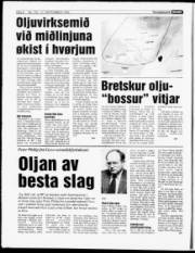 Síða 8
