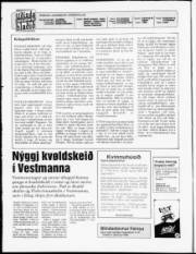 Síða 2
