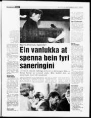 Síða 7