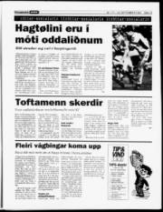 Síða 13