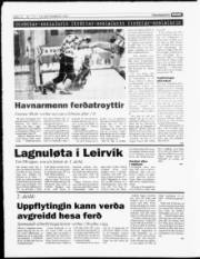Síða 14