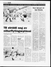 Síða 13