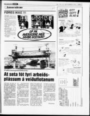 Síða 17
