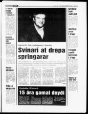 Síða 3