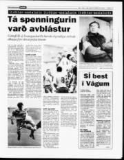 Síða 13