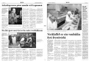 Síða 3