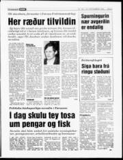 Síða 5