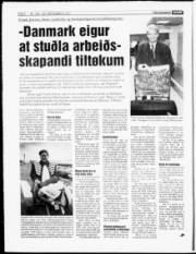 Síða 6